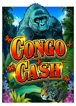 poker ออนไลน์สมัคร บา ค่า ร่า การเล่นง่ายๆ ที่ใครก็ทำได้